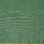 Mitera Green & Gold-Toned Floral Zari Pure Chiffon Saree