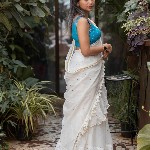 Suta Embellished Zari Pure Cotton Saree