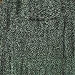 max Boys Spread Collar Solid Cotton Casual Shirt