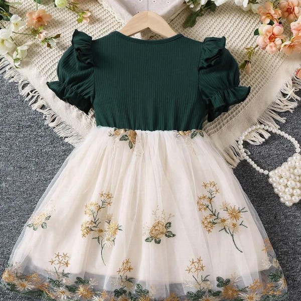 Girls Floral Print Embroidered Fit & Flared Dress