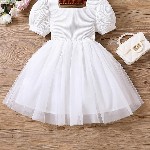 BAESD Girls Embellished Square Neck Short Puff Sleeve Net Fit & Flare Dress