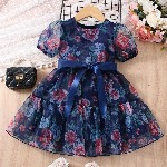 Miss & Chief Embellished Crepe A-Line Dress