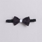 BAESD Boys V-Neck Single-Breasted 3-Piece Party Suit