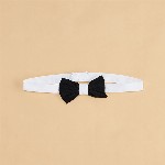 Pantaloons Junior Boys Cotton Opaque Party Shirt